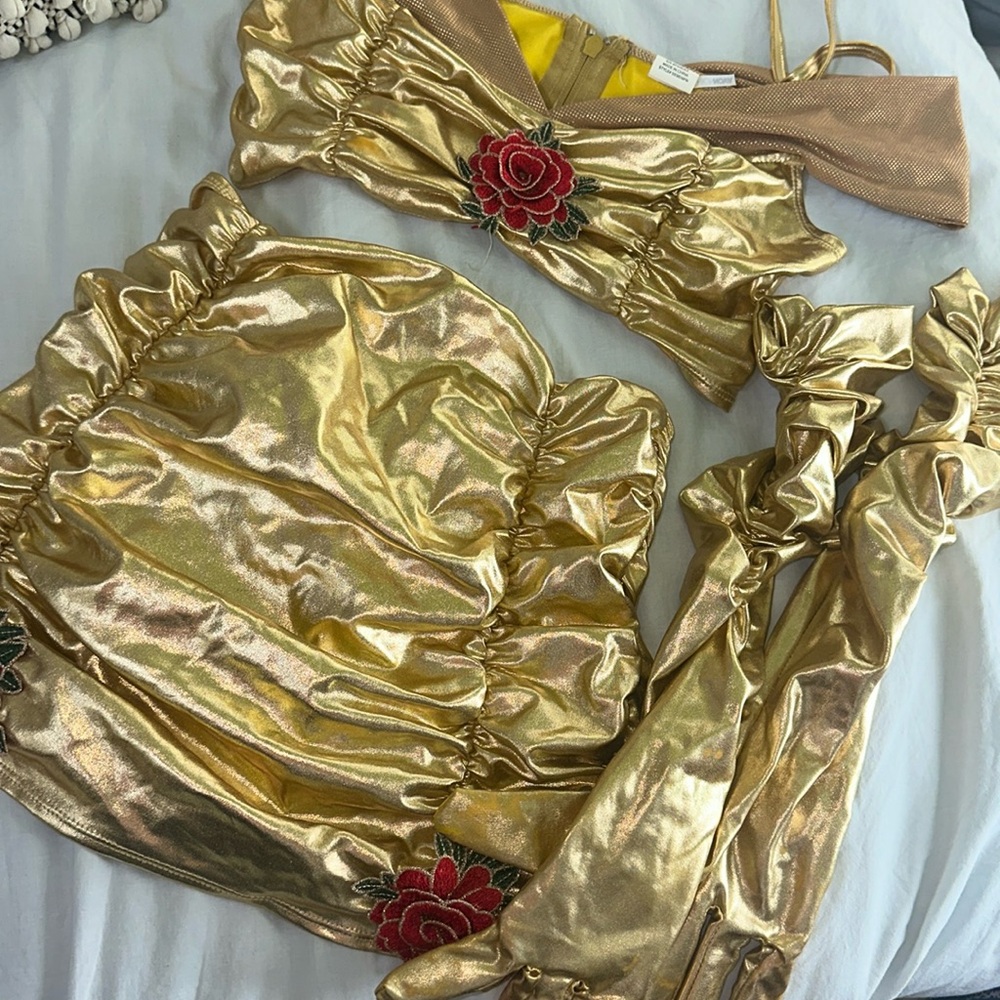 Fashion nova enchanted rose costume - Picture 3 of 11